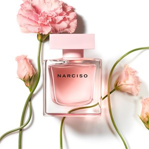 Parfumdreams narciso online rodriguez