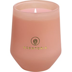 Scented candles Duftkerze Rose Haven - Rose by SCENTORIE