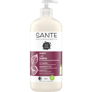 Sante Naturkosmetik - Szampon - Organiczny liść brzozy i białko roślinne Organiczny liść brzozy i białko roślinne