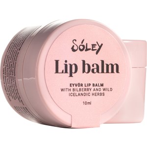 Soley Organics Gesichtspflege Lippenpflege Eyvör Lip Balm 10 G