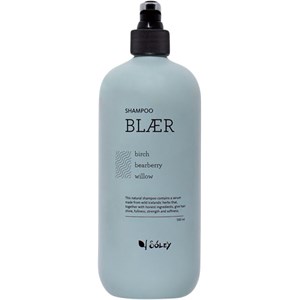 Soley Organics Haarpflege Shampoo Blaer Shampoo 500 Ml