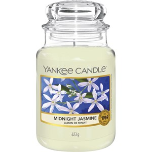 Yankee Candle Bougies Parfumées Midnight Jasmine Classic Medium Glass 411 G