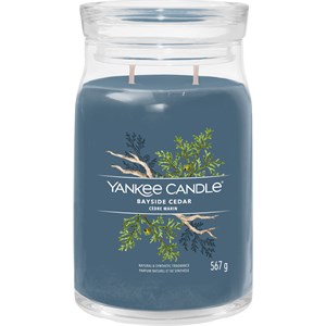 Yankee Candle Bougies Parfumées Bayside Cedar 368 G