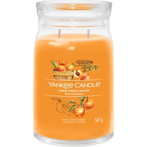 Yankee Candle Bougies Parfumées Farm Fresh Peach 368 G