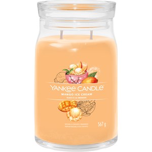 Yankee Candle Bougies Parfumées Mango Ice Cream 567 G