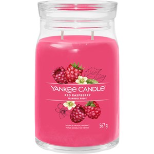 Yankee Candle Bougies Parfumées Red Raspberry 567 G