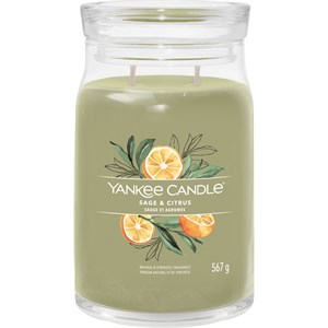 Yankee Candle Bougies Parfumées Sage & Citrus 567 G