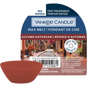 Yankee Candle Cire Parfumée Autumn Daydream 22 G