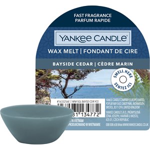 Yankee Candle Duftwachs Blue Bayside Cedar 22 G