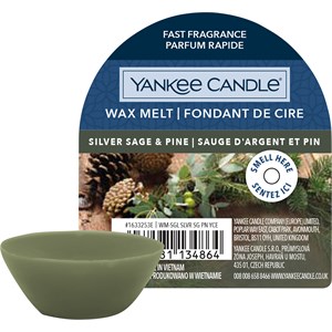 Yankee Candle Duftwachs Silver Sage & Pine 22 G