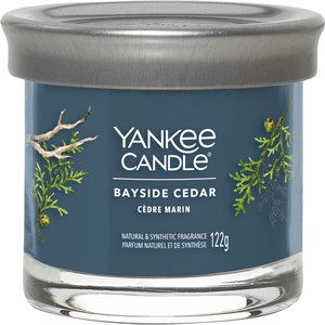 Yankee Candle Small Tumbler Blue Bayside Cedar 122 G