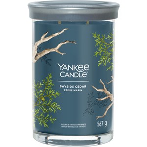 Yankee Candle - Tumbler - Bayside Cedar