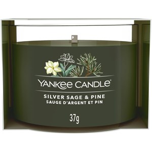 Yankee Candle - Votiivikynttilä lasissa - Silver Sage + Pine
