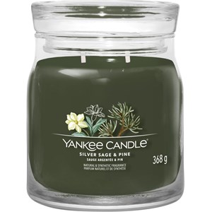 Yankee Candle - Bougie votive en verre - Silver Sage + Pine