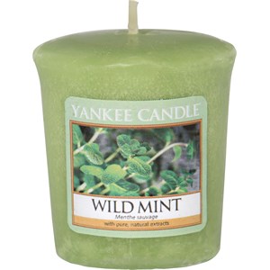 Yankee Candle - Votivní svíčky - Wild Mint