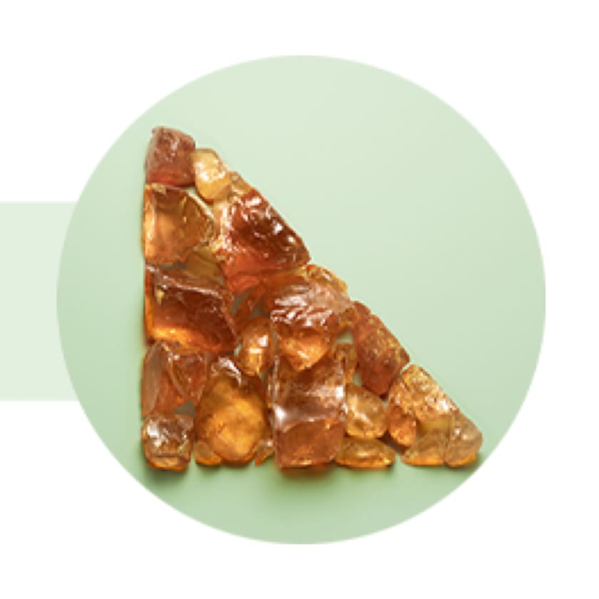 Prada Paradoxe | parfumdreams