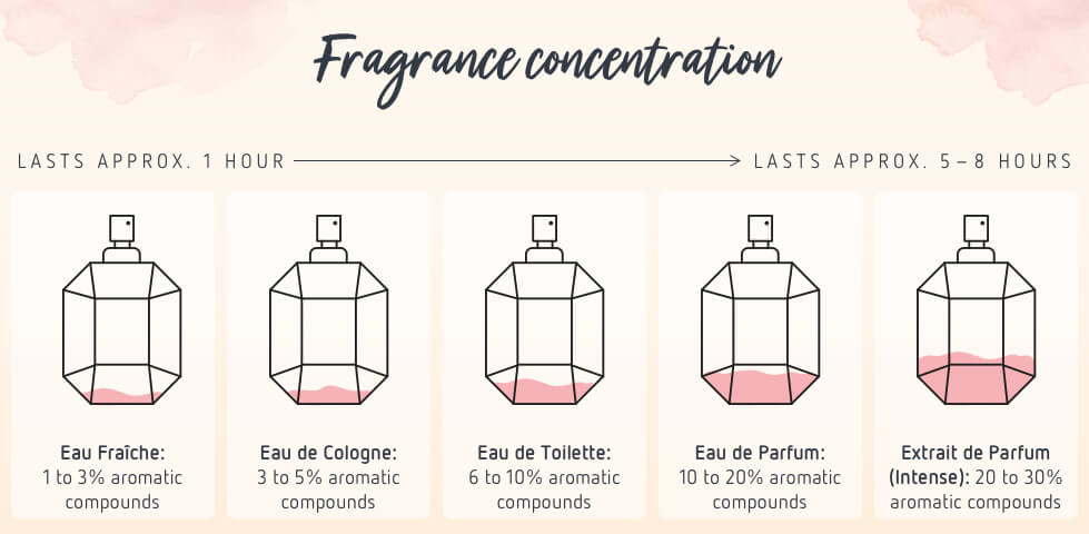 Perfume Dilution Classes | Parfumdreams