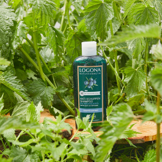 Shampoo Logona von ❤️ Bio-Wacholderbeere kaufen Anti-Schuppen parfumdreams Shampoo | online