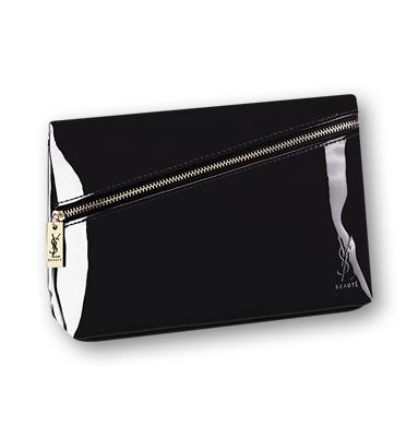 YSL Pouch