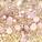 ANNY - Nagellak - Coloured Nail Polish - No. 456 Blush Champagne / 15 ml