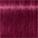 Schwarzkopf Professional - Igora Vibrance - Tone On Tone Coloration - 0-89 Rot Violett Konzentrat / 60 ml