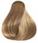 Wella - Colores para el cabello - Koleston Perfect - N.º 8/1 Rubio claro ceniza / 60 ml